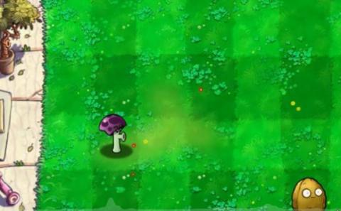 植物大战僵尸胆小菇之梦[图2]