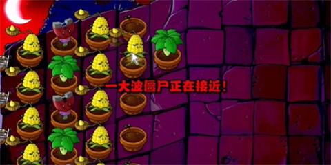 pvz活死人之园[图3]