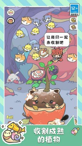 萌猫奇妙世界截图5