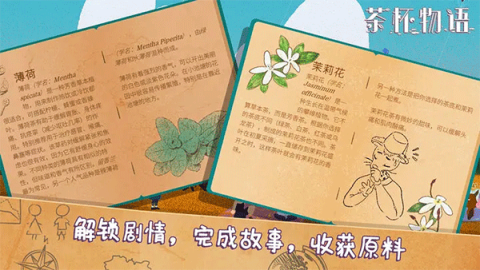 茶杯物语[图2]