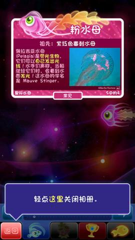 超级星鱼官方版[图11]
