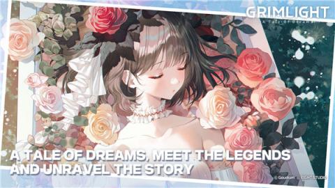 梦幻之光国际服官方版[图8]