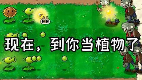 植物大战僵尸繁琐版自制版截图4