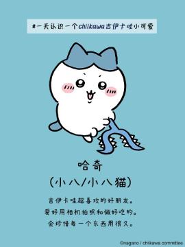 口袋吉伊卡哇正版[图5]