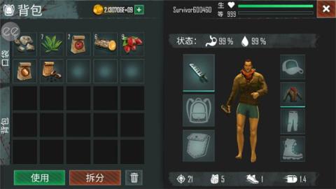 生或死生存正式版[图8]