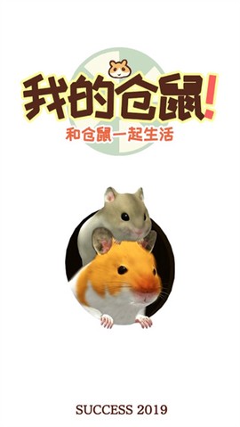 我的仓鼠游戏官方正版截图1