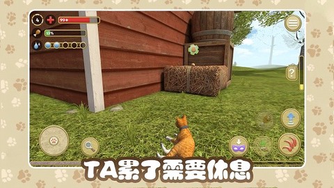 猫咪农场截图3