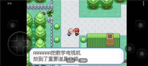 口袋妖怪：叶绿[图5]