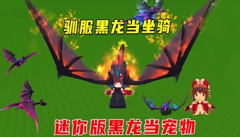 迷你世界怎么驯服黑龙当坐骑[图2]