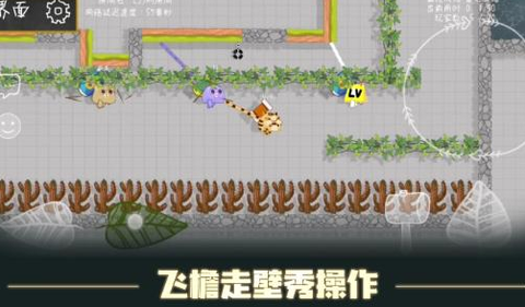 森林大会[图1]