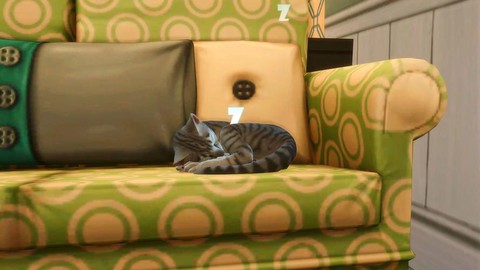如何养猫模拟人生4[图1]