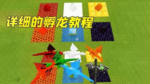 我的世界怎么孵化龙蛋手机版[图1]