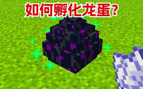 我的世界怎么孵化龙蛋手机版[图2]
