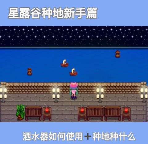 星露谷物语怎么播种[图1]