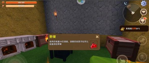 迷你世界野果有什么用[图2]