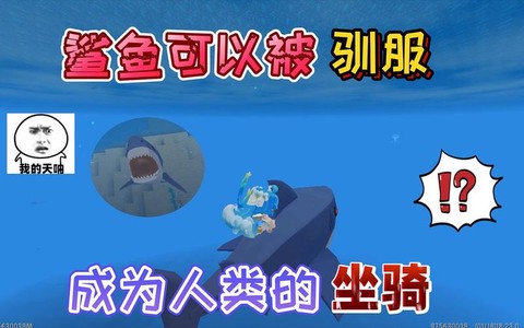 迷你世界怎么驯服鱼[图2]