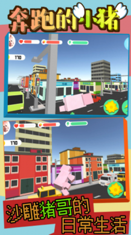 奔跑的小猪[图1]