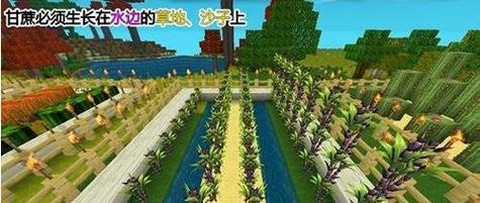 迷你世界怎么种苹果