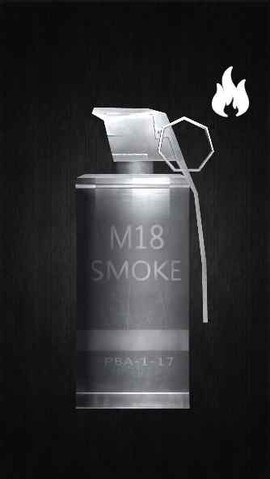 手雷模拟器[图1]