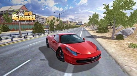 真实车祸模拟[图1]