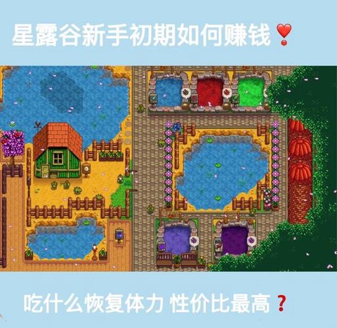 星露谷物语夏天种什么赚钱[图1]